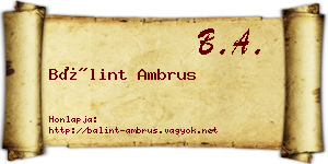 Bálint Ambrus névjegykártya